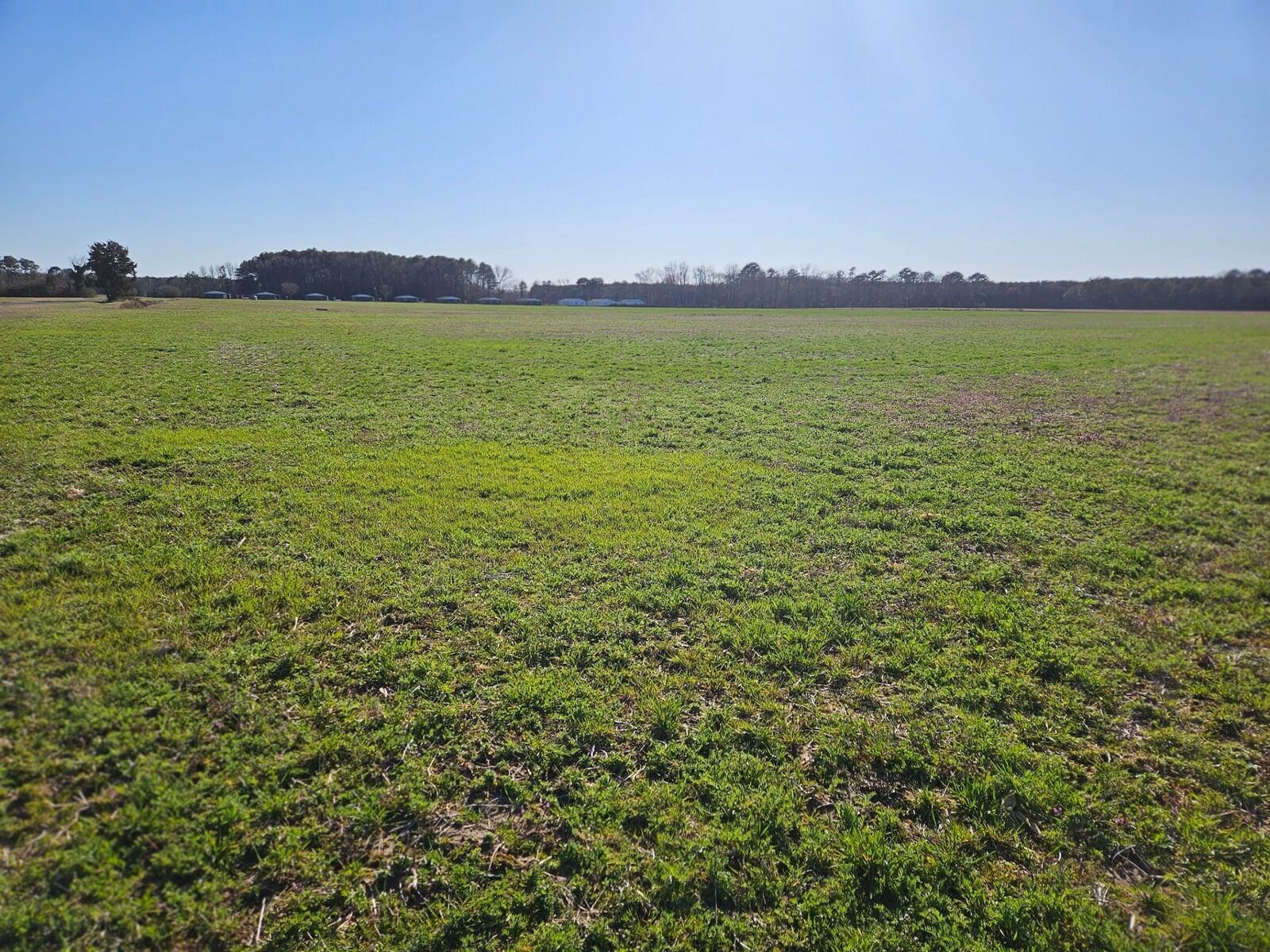Fall 2024 Cover Crop Results in Pennsylvania and Virginia